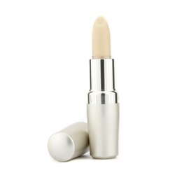 Shiseido The Skincare Protective Lip Conditioner SPF10 -huultenhoitoaine 4g/0.14oz