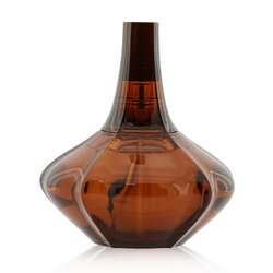 Calvin Klein Secret Obsession Парфумована Вода Спрей 100ml/3.4oz