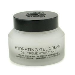 Bobbi Brown Hydrating Gel Cream 50ml/1.7oz