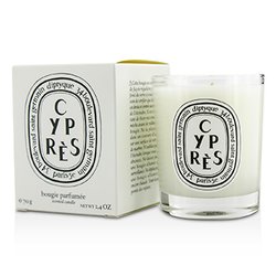 Diptyque شمع معطر - Cypres (السرو) 70g/2.4oz