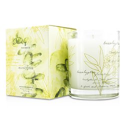 Thymes Aromatic Candle - Eucalyptus 255g/9oz