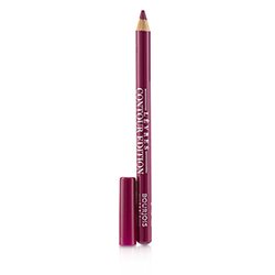 Bourjois Contour Edition Lip Liner - # 05 Berry Much 1.14g/0.04oz