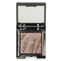 Chantecaille Luminescent Eye Shade - # Elephant (Shimmering Taupe Grey) 2.5g/0.08oz