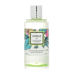 L'Occitane Herbae Gentle Shower Gel 250ml/8.4oz