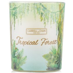 Carroll & Chan Vela en Vaso Votivo 100% de Cera de Abejas - Tropical Forest 65g/2.3oz