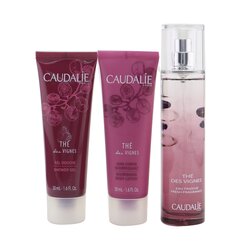 Caudalie The Des Vignes Christmas Coffret: Fresh Fragrance Spray 50ml + Gel de Ducha 50ml + Loción Corporal 50ml (Purple Line) 3pcs