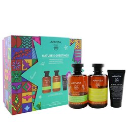 Apivita Set Nature's Greetings: Tonic Mountain Tea Gel de Ducha 250ml + Champú Diario Suave 250ml + Gel Negro Limpiador 50ml 3pcs
