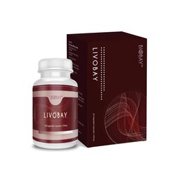 Biobay Biobay Livobay (60's x 500mg) Vegetable Capsules Herbal Supplement for Liver Care with Milk Thistle Fixed Size
